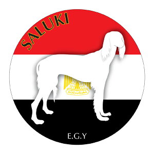 T[L }EXpbh z z ObY  CXg  Aj} hbO }EXpbg   Ck VGbg e ANZT[