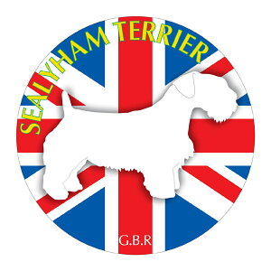 V[neA }EXpbh z z ObY  CXg  Aj} hbO }EXpbg   Ck VGbg e ANZT[