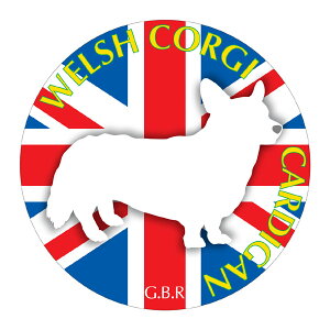 EFVR[M[J[fBA }EXpbh z z ObY  CXg  Aj} hbO }EXpbg   Ck VGbg e ANZT[