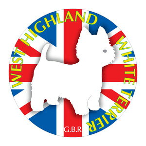 EGXgnChzCgeA EGXeB[ NEW }EXpbh z z ObY  CXg  Aj} hbO }EXpbg   Ck VGbg e ANZT[