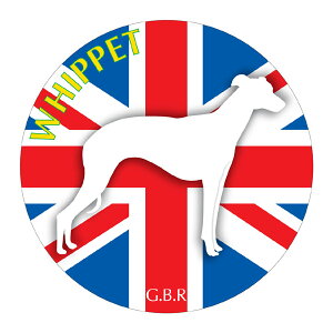 EBybg }EXpbh z z ObY  CXg  Aj} hbO }EXpbg   Ck VGbg e ANZT[