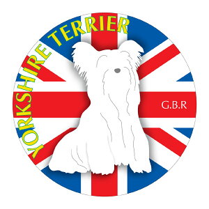 [NV[eA }EXpbh z z ObY  CXg  Aj} hbO }EXpbg [L[   Ck VGbg e ANZT[