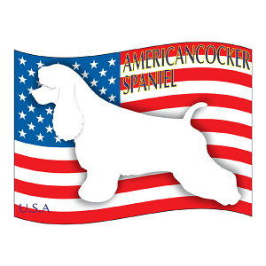 AJRbJ[XpjG ObY XebJ[͂sLTCYt XebJ[ V[ fJ[ VGbg  J[ V[ fJ[   Ck VGbg e A ANZT[ X