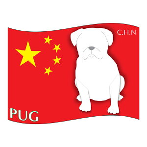 pO ObY XebJ[͂sLTCYt XebJ[ V[ fJ[ VGbg  J[ V[ fJ[   Ck VGbg e A ANZT[ XebJ[  oCN X[cP[X