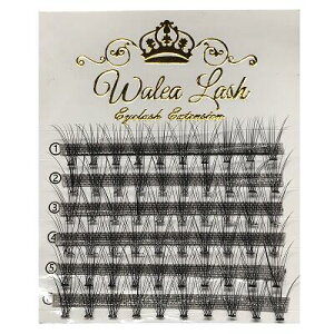 ܂GNXe10{tA@{[bV/6/60/}cGN/ACbV/{[