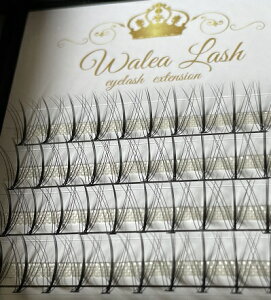 ܂GNXe@tA^Cv@11{tA@{[bV/4/40/}cGN/ACbV/AbV