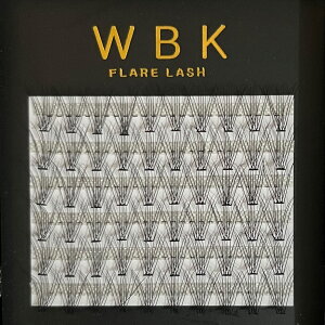 ܂GNXe 10{tA @{[bV/6/60/}cGN/ACbV/{[