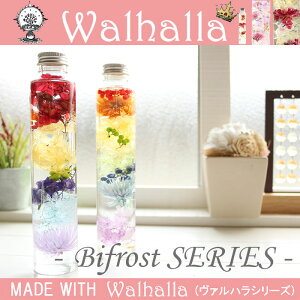 ̃n[oE yNottz ` Bifrost SERIES ` z fCW[ ybp[x[ j j vU[uht[ Mtg ϗtA yV CeAG AW{ IC EH[^[t