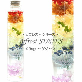 虹のハーバリウム 【Dagr】 〜 Bifrost SERIES 〜 紫陽花 デイジー ペッパーベリー 内祝い 結婚祝い プリザーブドフラワー ギフト 観葉植物 楽天 インテリア雑貨 植物標本 オイル ウォーターフラワー 即納 ハロウィン