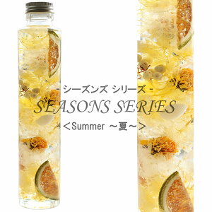 lG̃n[oE ySummer--z ` SEASONS SERIES ` z ݂ ybp[x[ PЂ܂ L j j vU[uht[ Mtg ϗtA yV CeAG AW{ IC
