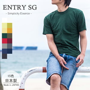 Flanger entry sg サーマル エントリーSG フランジャー ENTRY
