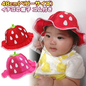  u[ցvyxr[z C`S̖Xq St 48cm  Xgx[  nbg i