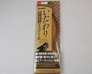 COLUMBUS C\[p@TCYFS(22.0`22.5cm)EM(23.0`23.5cm)EL(24.0`24.5cm)@RہEhJrHɂC̒𐴌Ɂ@YC̒̃CȃjIC}@GA[NbV