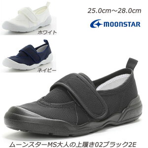l̏㗚 02-2E amC  Y Made in Japan E₷݌v {  [X^[ yʐ݌v ɂ  m}[LO Ag+RۖhLH 炩Sn Y