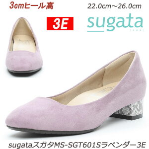 MS-SGT601Sx_[3EuNɕāAvRZvg̃pvXusugatav wlC  [X^[ yʐ݌v XK^ Ag+RۖhLH EBY x_[ Xb| fBX