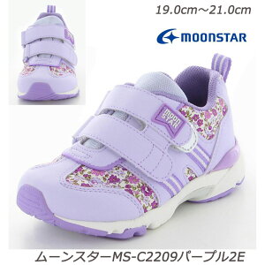 yMOONSTARzMS-C2209p[v3EyqCzy@\JbvC\[zyn[tTCYzyʊwzyL3EzyܐzyJE^[{bNXzytbNXWCgzyn[hV