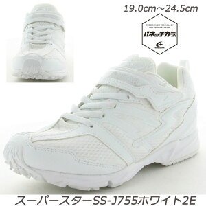 X[p[X^[ ol̃`J SS J755 LbY