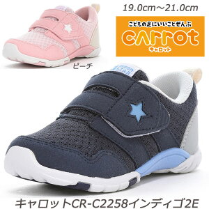 MOONSTAR MS-C2258[2E ʊwC qC JE^[{bNX ܐ @\JbvC\[ n[tTCY JeL @\ [X^[ WjAXj[J[ ct ۈ牀 w X