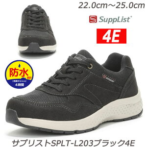 h Supplist TvXgL203-4E wlC 蕝L݌v ܐ ʋCJbvC\[ RۖhL Jɋh݌v  [X^[ fBXXj[J[ R nCLO U 