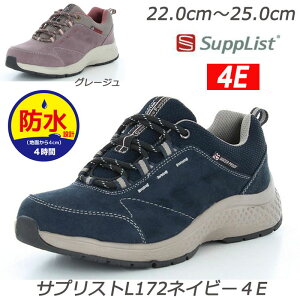 h Supplist TvXgL172lCr[4E wlC 蕝L4E݌v ܐ ʋCJbvC\[ Ag+RۖhL݌v Jɋh݌vi4cm4 ق [X^[ fBXXj[