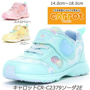 Carrot CR-C2379-2E qC n[tTCY ʉC ܐ Ag+RۖhL 􂦂C\[  [X^[ `ChV[Y@ct ۈ牀 w Xj[J[LbY  OV \[