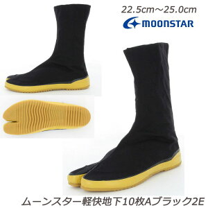 [X^[ yn10A-2E [NV[Y wlC Ɨ  fBXV[Y  ق 10Rn[ ăOZ[ n