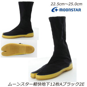 [X^[ yn12A-2E [NV[Y wlC Ɨ  fBXV[Y  ق 12Rn[ ăOZ[ n