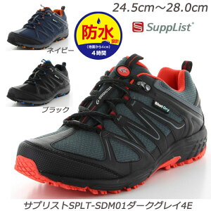 ySupplistzTvXgSDM01-4EamC L4E h݌v ܐ Ռz Ag+RۖhL ϖՃo[ e\[  OZ[ _[NOC lCr[ ubN ZDF   A