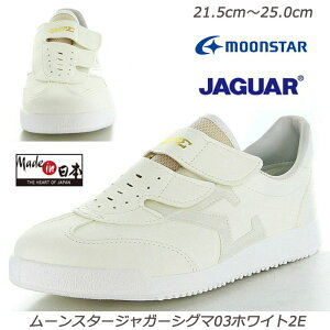 WK[ VO}03zCg2-2E }WbN yʐ݌v wlC   Y Made in Japan }WbNe[vŒENN fB[XV[Y fBXXj[J[ { ق [X^