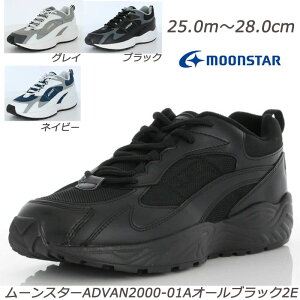 ADVAN Aho2000-01A-3E  amC ЍL3E YXj[J[ V[Y Aho fC[V[Y ʊwC [NV[Y EH[LO  [X^[ L ƌC WM