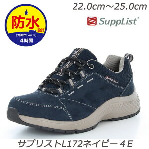 h Supplist TvXgL172lCr[4E wlC 蕝L4E݌v ܐ ʋCJbvC\[ Ag+RۖhL݌v Jɋh݌vi4cm4 ق [X^[ fBXXj[