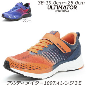 wXgu[19cm̂݁xyAeBC^[zUL1097-3E qC ʊw n[tTCY RۖhL 􂦂C\[ yʐ݌v ɋϖՃo[ [X^[ ق WjAXj[J