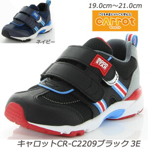 3EMOONSTAR MS-C2209-3E qC @\JbvC\[ n[tTCY ʊw L3E ܐ JE^[{bNX tbNXWCg n[hVN JeL yʐ݌v X^rCU[ 