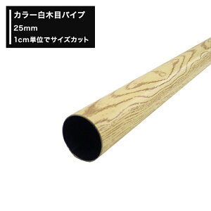 [P10{ 520`4+2000~OFFN[|]ؖ pCv 25mm ۃpCv 20cm`50cm ؔ 1cmPʂŃI[_[\ Jbg diy N[[bg nK[pCv 肷 I ^I| H-N-0