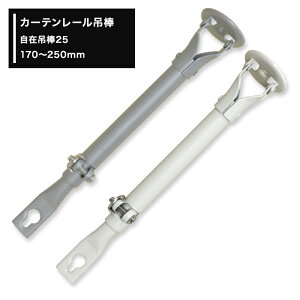 [�S�i�|�C���g10�{�I20��20���`4H����]���ʗp�J�[�e�����[�� �R���g���N�g24��p ���ݒݖ_25[170�`250mm]�ySPS25�z JQ