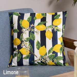 [Si|Cg10{I1020`4H]NbVJo[  k ` 45×45cm 45p An Jo[̂ G CeA  t  H ~ I[V[Y Jo[̂ YH838 [l C-