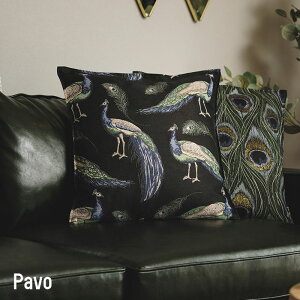 [P10{ 420`4+2000~OFFN[|]NbVJo[  k ` 45×45cm 45p An Jo[̂ G CeA  t  H ~ I[V[Y Jo[̂ YH847 p[H 