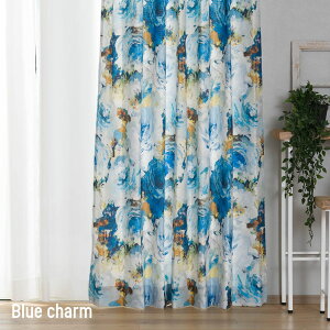 [P10{ 420`4+2000~OFFN[|][TCY]J[e  An 􂦂 ʂ Ռ ԕ 傫 { YH851 u[`[ 100cm×135cm 178cm 200cm 2g OKC4