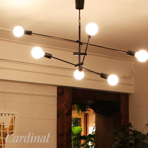 Ɩ y_gCg  Cg diclasse LED d Cardinal pendant lamp J[fBi ubN 肳 Cg v V V[OCg VƖ AeB[N X|bgCg C