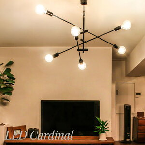 Ɩ y_gCg  Cg diclasse LED d LED Cardinal pendant lamp LEDJ[fBi ubN 肳 Cg v V V[OCg VƖ AeB[N X|bgCg 