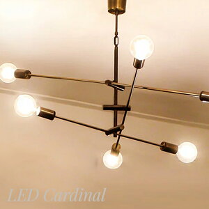 Ɩ Cg CeA  diclasse fBNbZ LED d LED Cardinal pendant lamp LEDJ[fBi y_gv AeB[NuE 肳 y_gCg Cg v V 