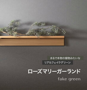 [10OFFI15N[|]tFCNO[ AlHϗtA [Y}[K[h C-F-1