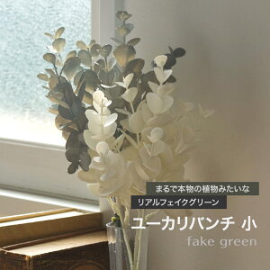 [Si|Cg10{I520`4H]tFCNO[ A ϗtA lH Ǌ| ~j tFCNt[   Vr[VbN ݃J[ hCt[ u[P t[A