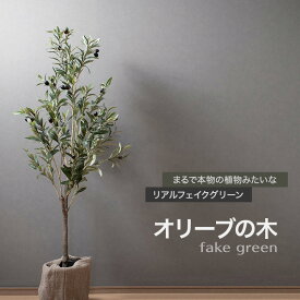 [P10倍10日20時～4時間+10％OFFクーポン]フェイクグリーン リアル人工観葉植物 オリーブの木 CSZ