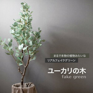 tFCNO[ AlHϗtA [J̖ C-F-1