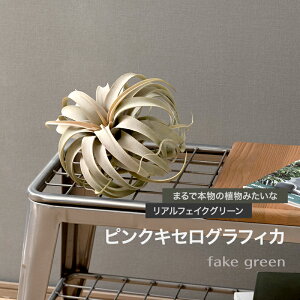 [Si|Cg10{I520`4H]tFCNO[ A ϗtA lH Ǌ| ~j nMO ݂艺   sNLZOtBJ C-F-1