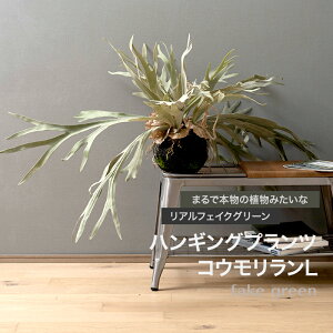 [Si|Cg10{I2520`4H]tFCNO[ A ϗtA lH nMO ݂艺   nMOvc REL C-F-1