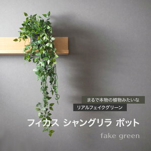 [Si|Cg10{I2520`4H]tFCNO[ AlHϗtA tBJX VO |bg C-F-1