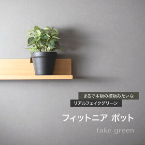 [11OFFI11/1N[|]tFCNO[ AlHϗtA tBbgjA |bg C-F-1