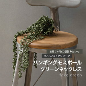 [Si|Cg10{I520`4H]tFCNO[ A ϗtA lH Ǌ| ~j nMO ݂艺   nMOX{[ O[lbNX C-F-1